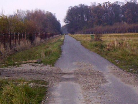 Foto 41